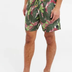 Protest Beachshorts “ PRTDURBAN In Artichoke Green 11
