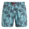 Protest Beachshorts “ PRTFAAS JR In Arcticgreen 28