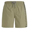 Protest Beachshorts “ PRTFAREL In Artichoke Green 23