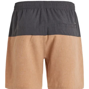 Protest Beachshorts “ PRTFORTA In SealBeige 17