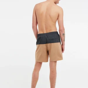 Protest Beachshorts “ PRTFORTA In SealBeige 21