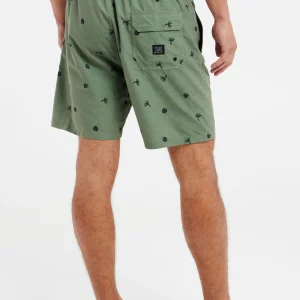 Protest Beachshorts “ PRTGUINCHO In Artichoke Green 15