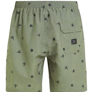 Protest Beachshorts “ PRTGUINCHO In Artichoke Green 17