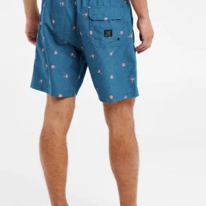 Protest Beachshorts “ PRTGUINCHO In DeepDive Blue 15