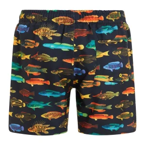 Protest Beachshorts “ PRTIVAN JR In True Black 6