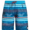 Protest Beachshorts “ PRTJASON JR In DeepDive Blue 8