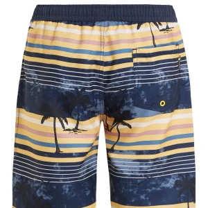Protest Beachshorts “ PRTJASON JR In Night Skyblue 6