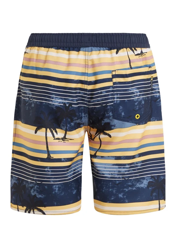 Protest Beachshorts “ PRTJASON JR In Night Skyblue 3