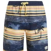 Protest Beachshorts “ PRTJASON JR In Night Skyblue 8