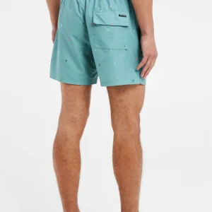 Protest Beachshorts “ PRTKOSHI In Arcticgreen 15