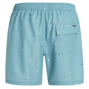 Protest Beachshorts “ PRTKOSHI In Arcticgreen 17