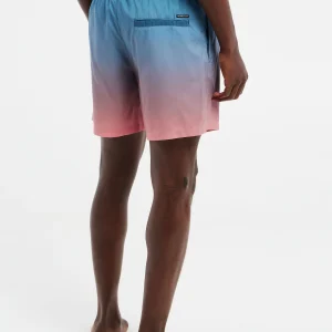 Protest Beachshorts “ PRTKRABI In ShellPeach 15