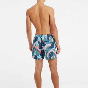 Protest Beachshorts “ PRTLIANES In Arcticgreen 21
