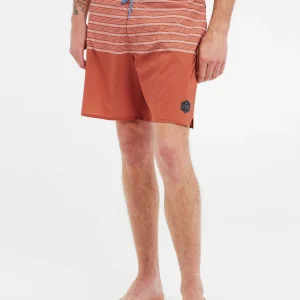 Protest Beachshorts “ PRTLOHNI In Clay 11