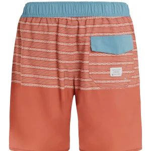Protest Beachshorts “ PRTLOHNI In Clay 17