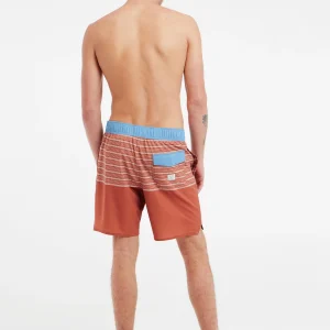 Protest Beachshorts “ PRTLOHNI In Clay 21
