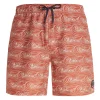 Protest Beachshorts “ PRTTERTON In Clay 26