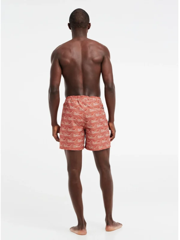 Protest Beachshorts “ PRTTERTON In Clay 8