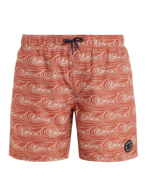 Protest Beachshorts “ PRTVISTA JR In Clay 1