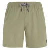 Protest Beachshorts “ PRTYESSINE In Artichoke Green 25