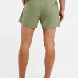 Protest Beachshorts “ PRTYESSINE In Artichoke Green 15