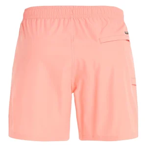 Protest Beachshorts “ PRTYESSINE In ShellPeach 17