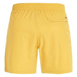 Protest Beachshorts “ PRTYESSINE In Tumericyellow 17