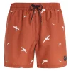 Protest Beachshorts “ PRTZINZU In Clay 26