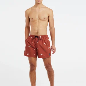 Protest Beachshorts “ PRTZINZU In Clay 13