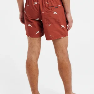 Protest Beachshorts “ PRTZINZU In Clay 15