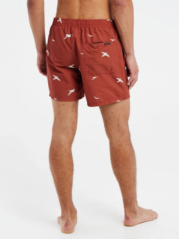 Protest Beachshorts “ PRTZINZU In Clay 5