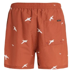 Protest Beachshorts “ PRTZINZU In Clay 17