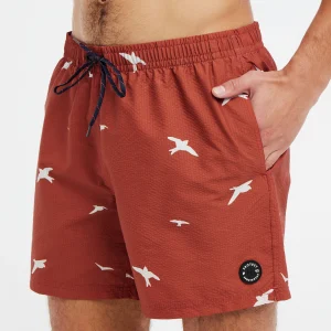 Protest Beachshorts “ PRTZINZU In Clay 19
