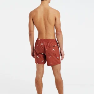 Protest Beachshorts “ PRTZINZU In Clay 21