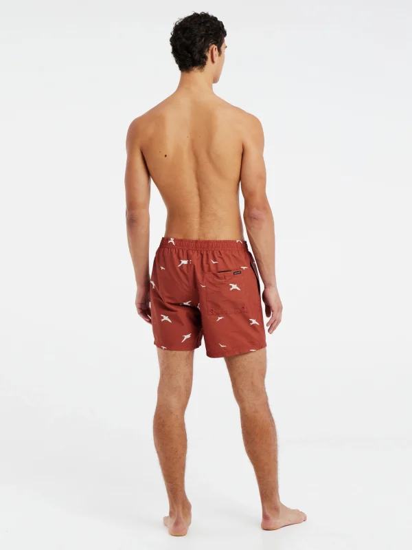 Protest Beachshorts “ PRTZINZU In Clay 8