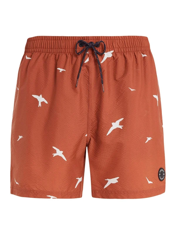 Protest Beachshorts “ PRTZINZU In Clay 1