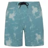 Protest Boardshort “ PRTAHE In Arcticgreen 10