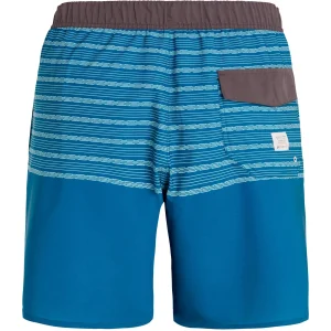 Protest Boardshorts Prtlohni In Deepdive Blue 11