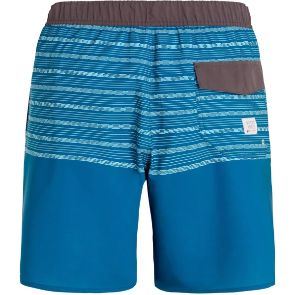 Protest Boardshorts Prtlohni In Deepdive Blue 3