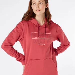 Protest Hoodie “ PRTTWIG In Rusticrust 10