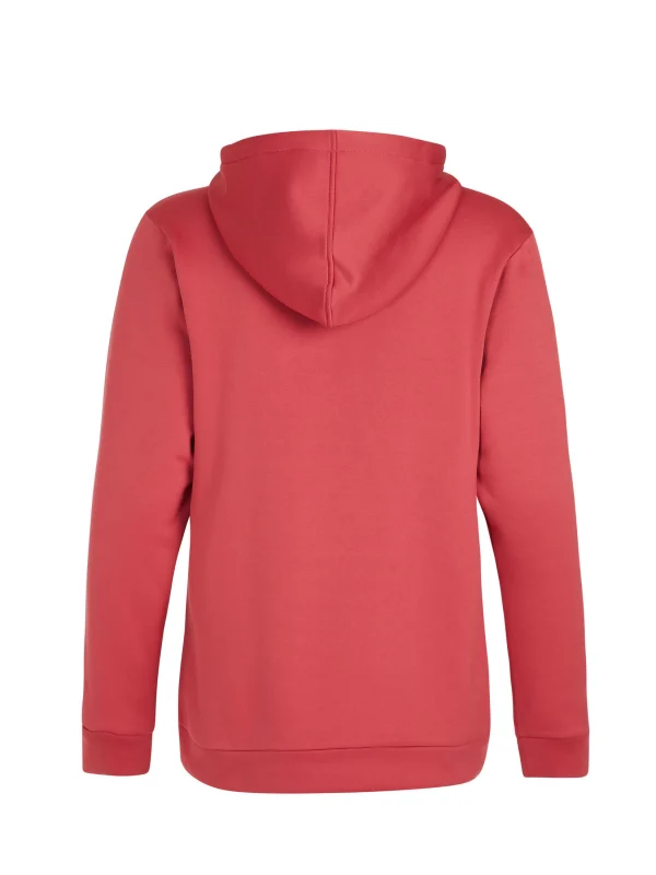 Protest Hoodie “ PRTTWIG In Rusticrust 5