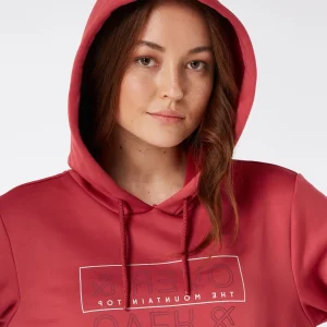 Protest Hoodie “ PRTTWIG In Rusticrust 16