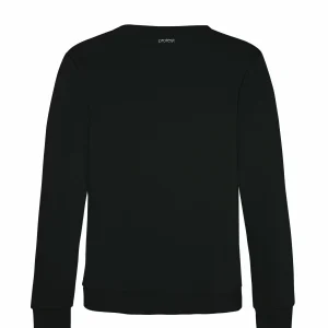 Protest Sweatshirt “ PRTMAHIA In True Black 6