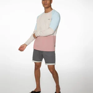 Protest Sweatshirt “ RADFORD In Mauve 15