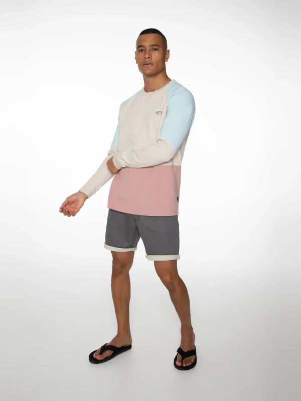 Protest Sweatshirt “ RADFORD In Mauve 4