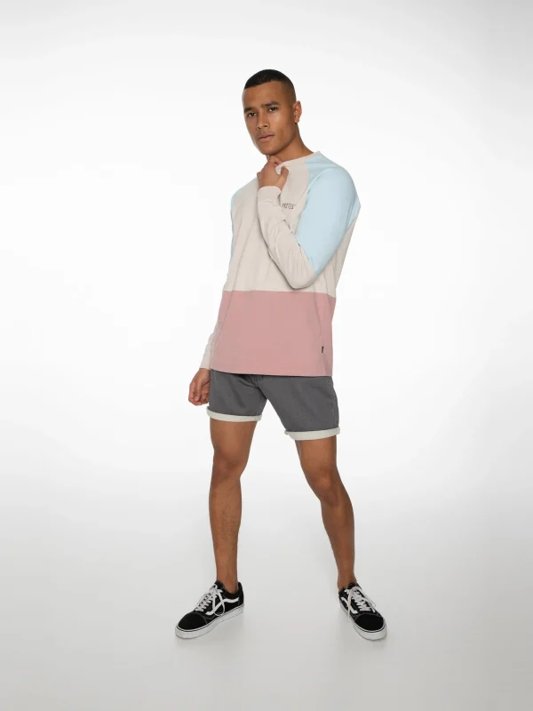 Protest Sweatshirt “ RADFORD In Mauve 5