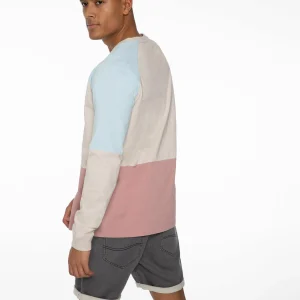 Protest Sweatshirt “ RADFORD In Mauve 19