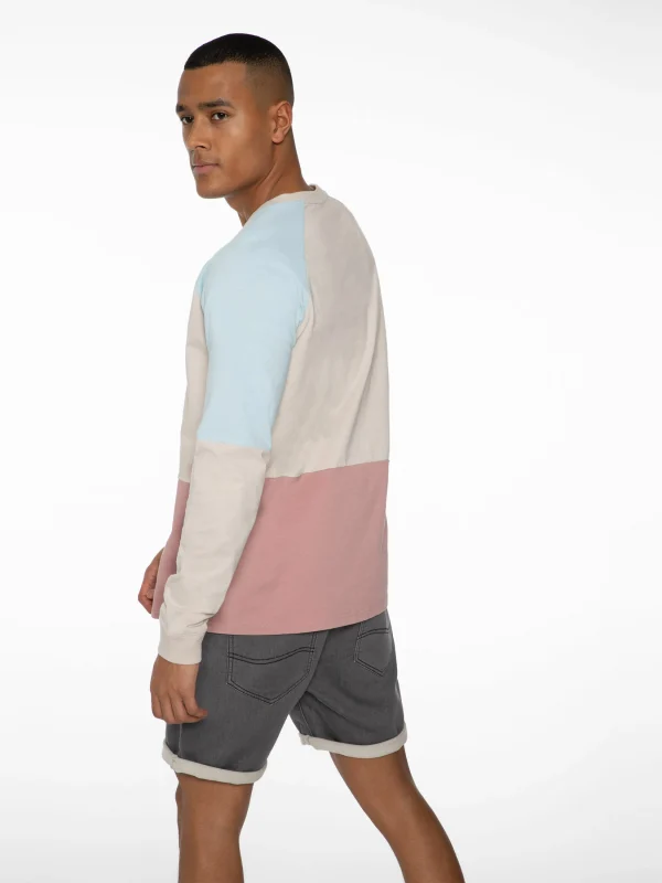 Protest Sweatshirt “ RADFORD In Mauve 6