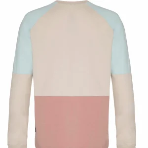Protest Sweatshirt “ RADFORD In Mauve 21