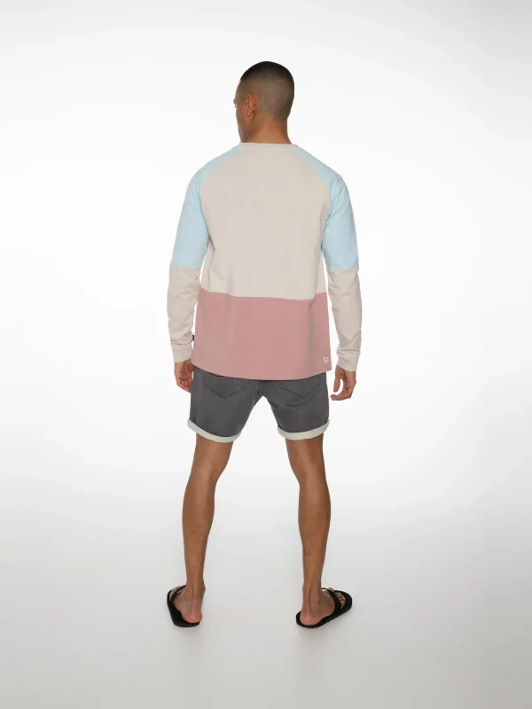 Protest Sweatshirt “ RADFORD In Mauve 9